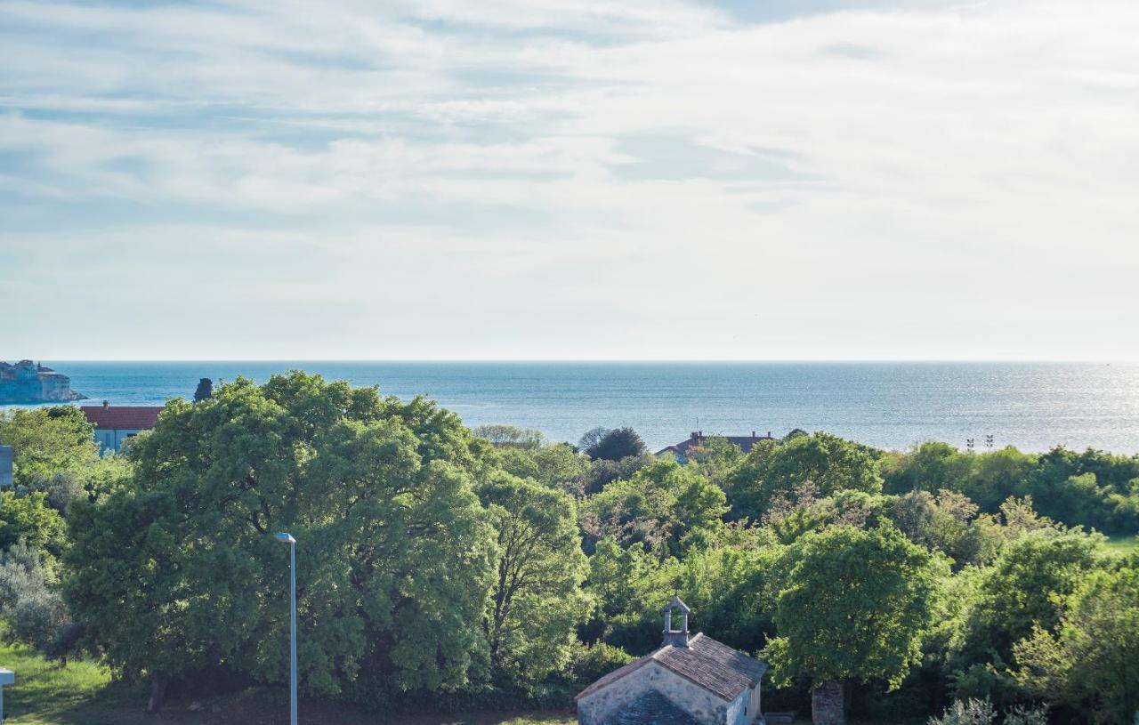 Apart Residence Galant Rovigno Esterno foto